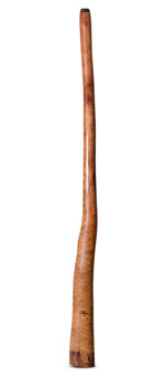 Tristan O'Meara Didgeridoo (TM472)